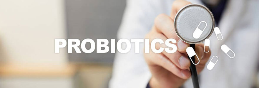 Optez pour les probiotics naturels